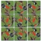 Hummingbirds Scramble Squares - FREE Shipping