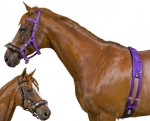 Kincade Equigrip Lunge Kit