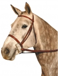 Kincade Flat Snaffle Bridle