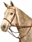 Kincade Martingale Rein Set