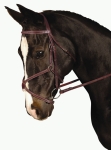 KINCADE PADDED FIGURE 8 BRIDLE