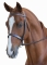 KINCADE PADDED HEADPIECE FLASH BRIDLE