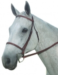 KINCADE PLAIN RAISED BRIDLE