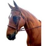 Kincade Raised Padded Fancy Stitched Bridle with Reins