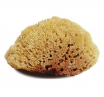 Large Natural Bath/Shower Sea Sponge