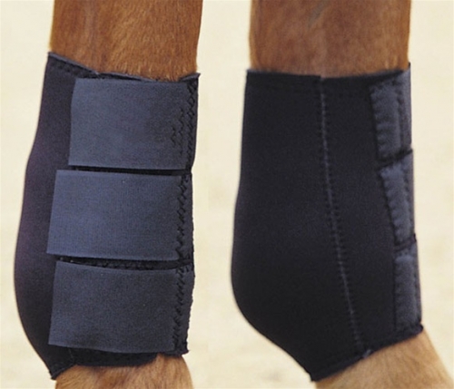 fetlock boots for sores