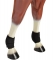 Neoprene Run Down Sesamoid Boots