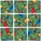 North American Birds Scramble Squares - FREE Shipping