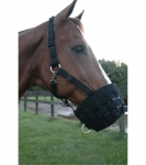 Nylon Web Padded Grazing Muzzle with Halter