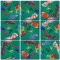 Parrots Scramble Squares - FREE Shipping