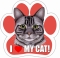 Paw Print Car Magnet - Tabby Silber