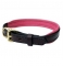 Perri's Leather Padded Leather Dog Collar