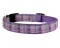 Perri's Leather Ribbon Dog Collar