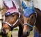 Perri's Paisley/Flower Fly Bonnet