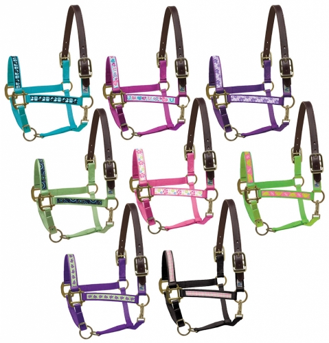 Different Colors and Sizes Perri's Nylon Ribbon Safety Halter 