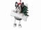 Personalized Dangling Dog Ornament - Boston Terrier