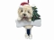 Personalized Dangling Dog Ornament - Cairn Terrier