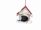 Personalized Doghouse Ornament - Pug Black