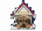 Personalized Doghouse Ornament - Yorkipoo