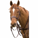 Polo Bridle