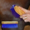 Pony Brush - Blue