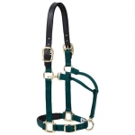 Premium Neoprene Lined Padded Breakaway Halter