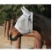 Pro Choice Equisential Fly Mask with Ears