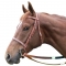 Racing Bridle - Leather