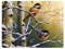 River's Edge Tempered Glass Cutting Board - Chickadee