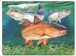 River's Edge Tempered Glass Cutting Board - Redfish