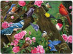 River's Edge Tempered Glass Cutting Board - Song Birds