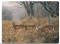 River's Edge Tempered Glass Cutting Board - Deer New Arrival