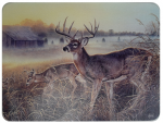 River's Edge Tempered Glass Cutting Board - Deer Boys Club