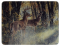 River's Edge Tempered Glass Cutting Board - Deer Under Cover