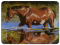 River's Edge Tempered Glass Cutting Board - Bathing Beauty Horse