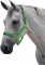 ROMA Brights Padded Breakaway Safety Halter