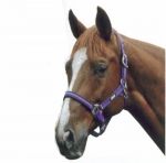 Roma Star Halter