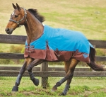 Saxon 1200D Standard Neck Medium Turnout Blanket