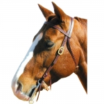 Shenandoah Western Browband Bridle