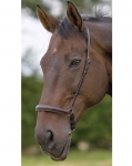 Shires 3/4" Leather Caveson Noseband - Plain or Fancy Stitch