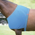 Shires Anti-Rub Stretch Shoulder Guard