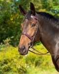 SHIRES AVIGNON MIDDLEBURG FLAT HUNT BRIDLE