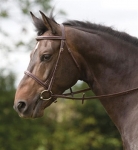 Shires Equestrian Blenheim Exeter Bridle