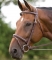 Shires Equestrian Bodenham Bridle