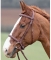 Shires Equestrian Lexington Bridle