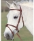 Shires Equestrian Washington Bridle