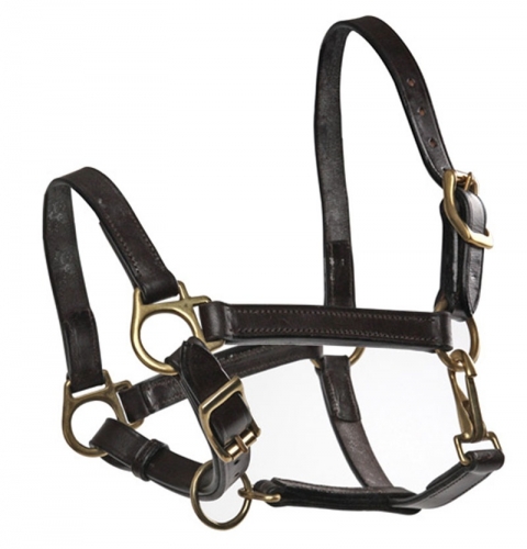Shires Fully Adjustable Halter, Suckling, Weanling, Yearling