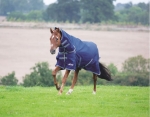 Shires Highlander Plus 300 Detachable Hood Heavy Turnout Blanket