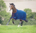 Shires Highlander PLUS 300 HEAVY Standard NeckTurnout Blanket