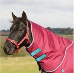 Shires Highlander Plus 300 Neck Cover